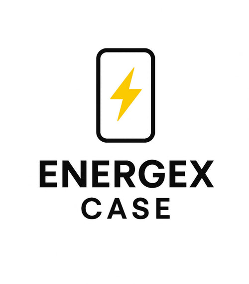 Energex Case